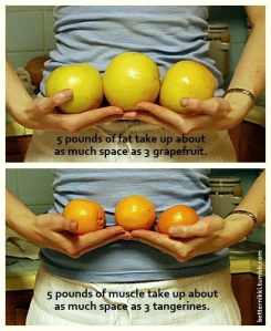 5 pounds fat grapefruit